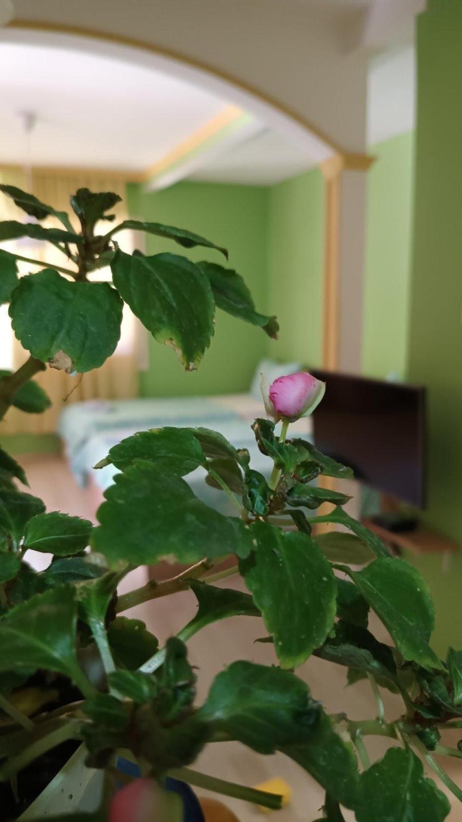 Villa Re3Ca Скоп'є Екстер'єр фото